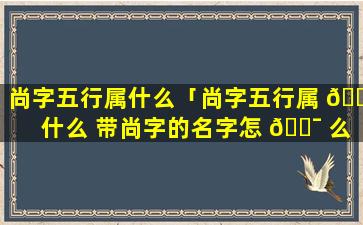 尚字五行属什么「尚字五行属 🌷 什么 带尚字的名字怎 🐯 么取」